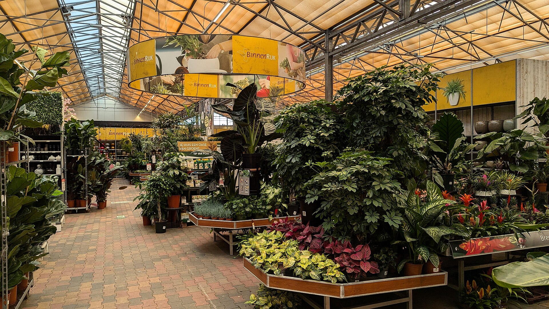 Intérieur d'une jardinerie : tables de plantes et allées de vente