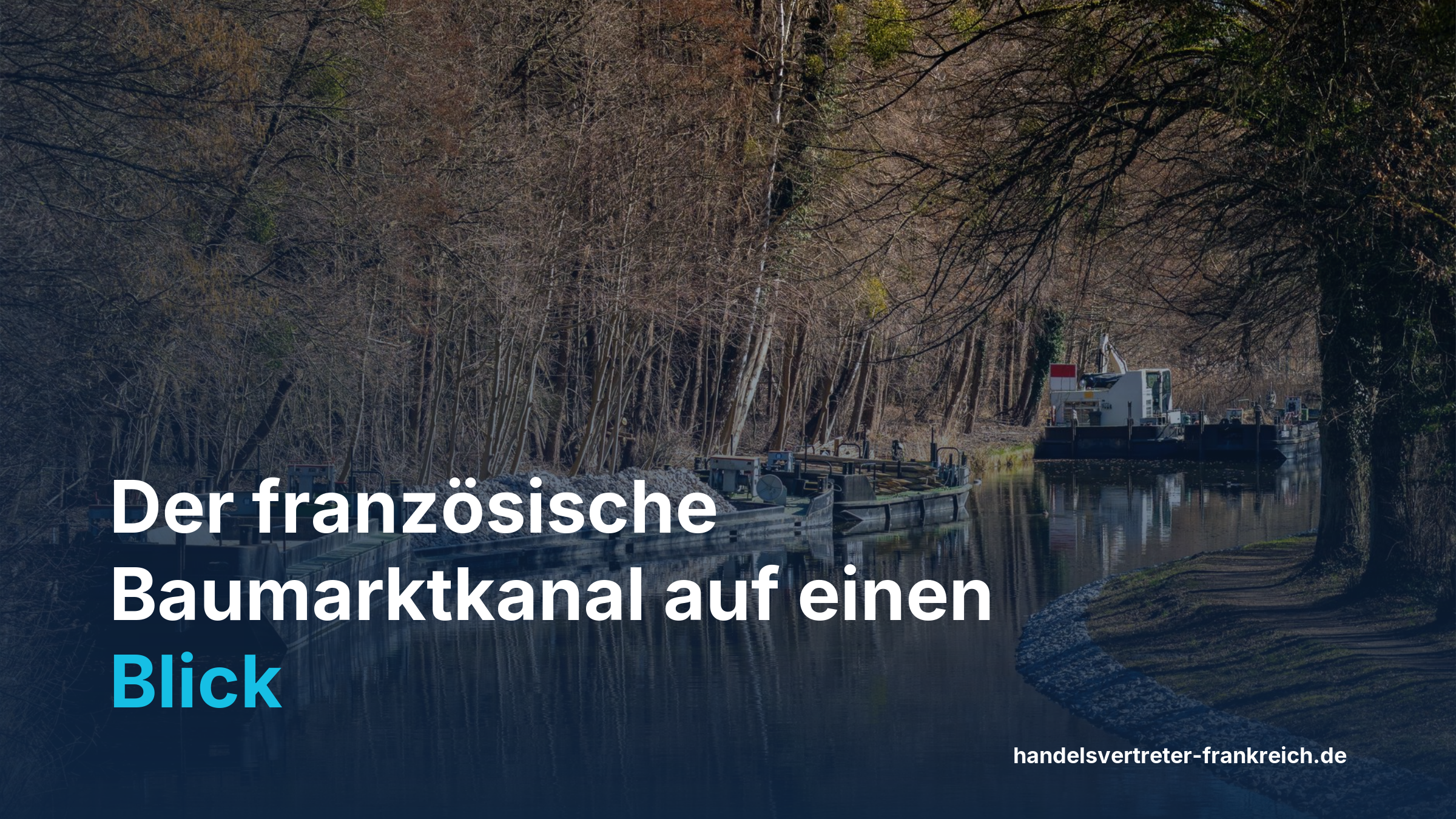Infografik Baumarkt Frankreich Marktstruktur Umsatz Konzerne Vertrieb Hersteller