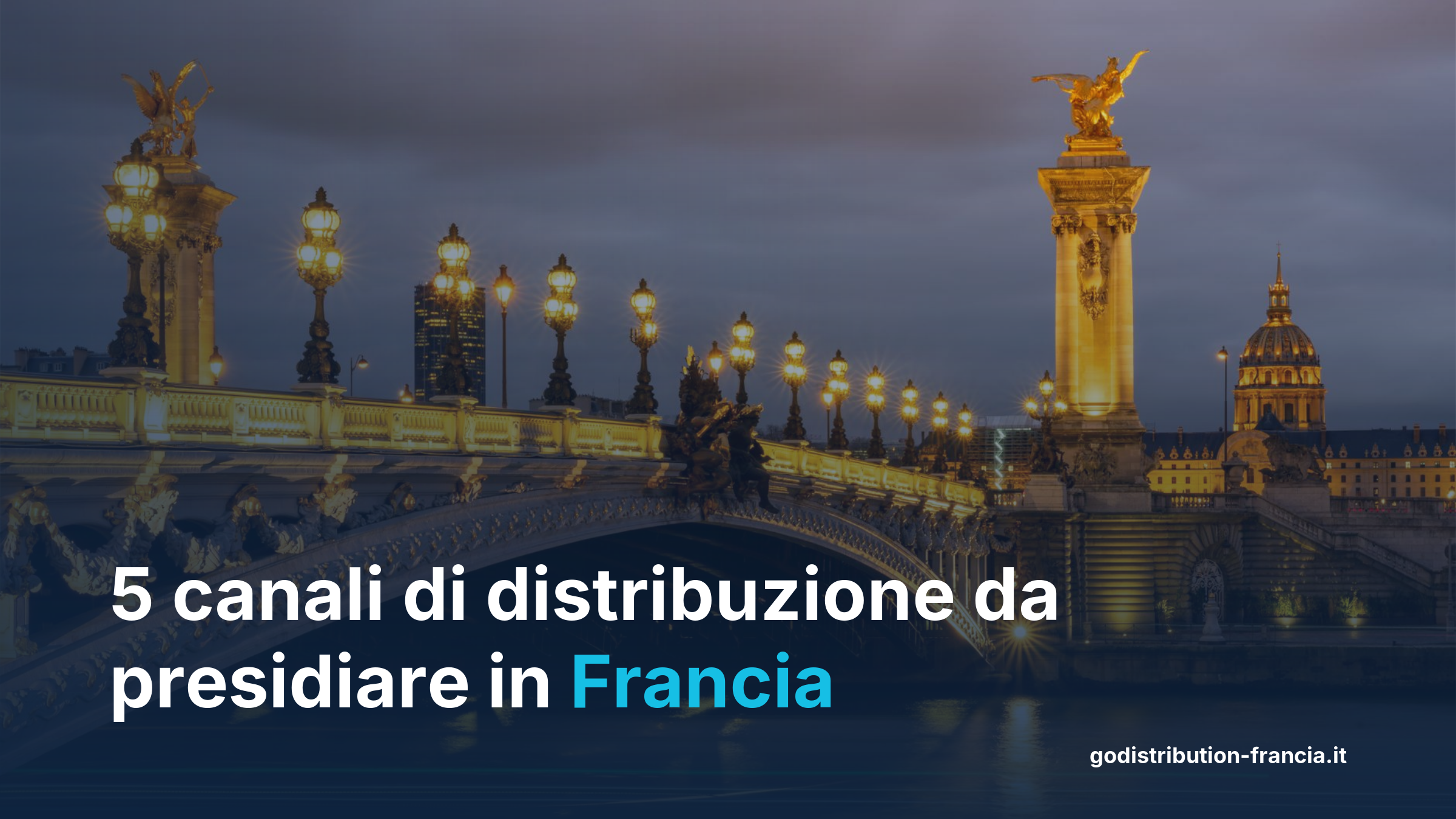 Cinque canali distribuzione Francia bricolage ferramenta forniture industriali jardineries négoce