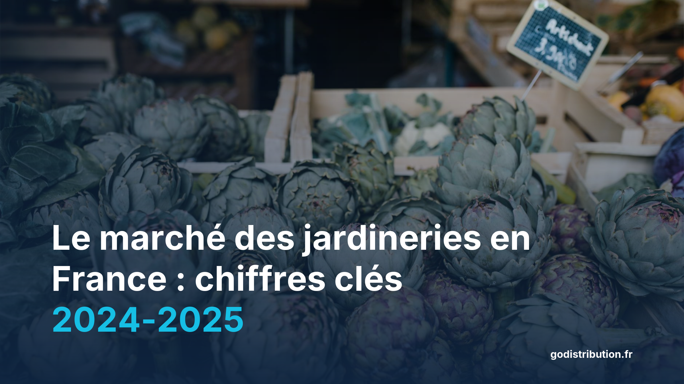 Infographie chiffres clés marché jardineries France 2024 pour distribuer ses produits