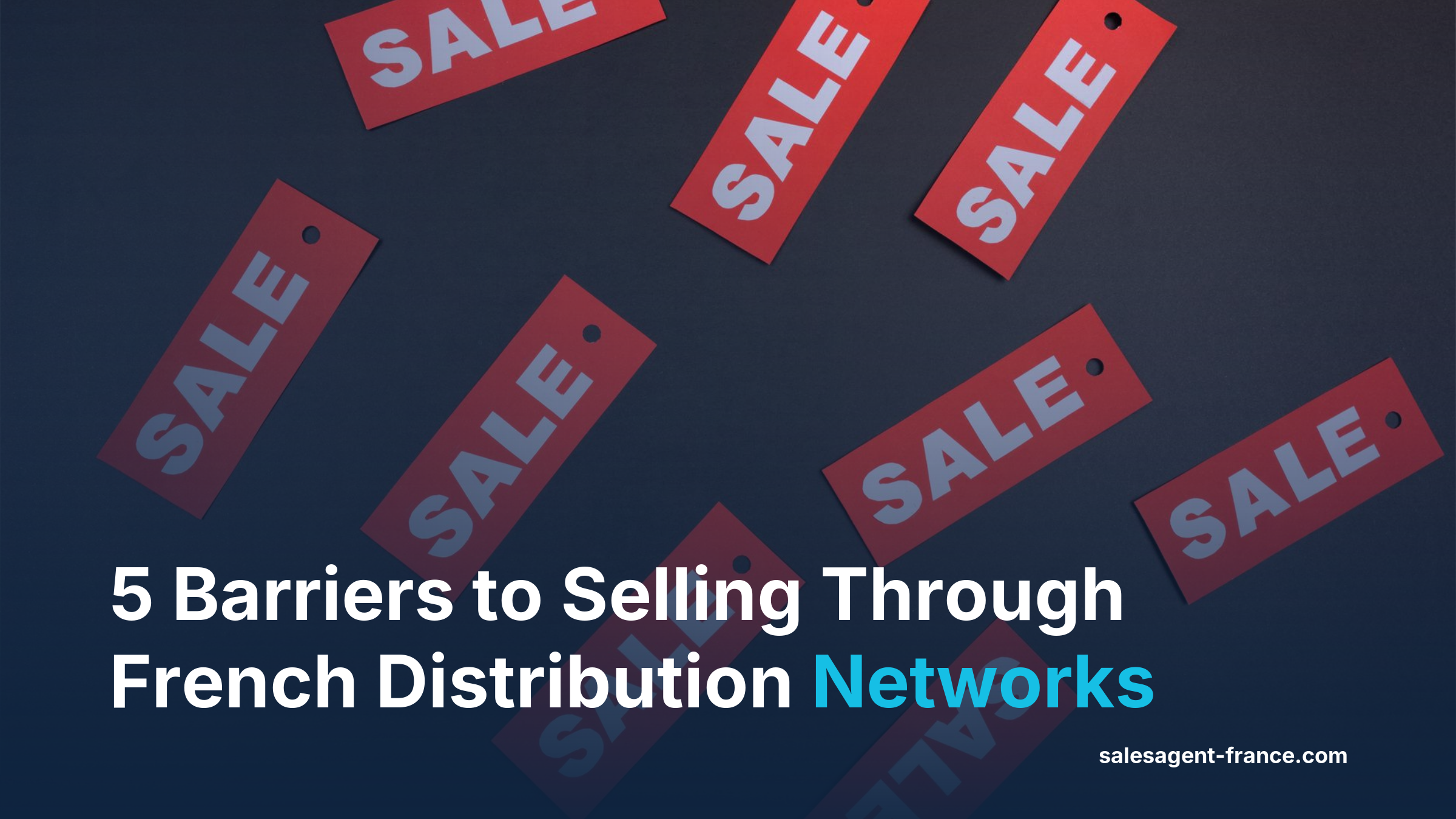 Five barriers to sales outsourcing in France for manufacturers entering DIY and trade distribution networks