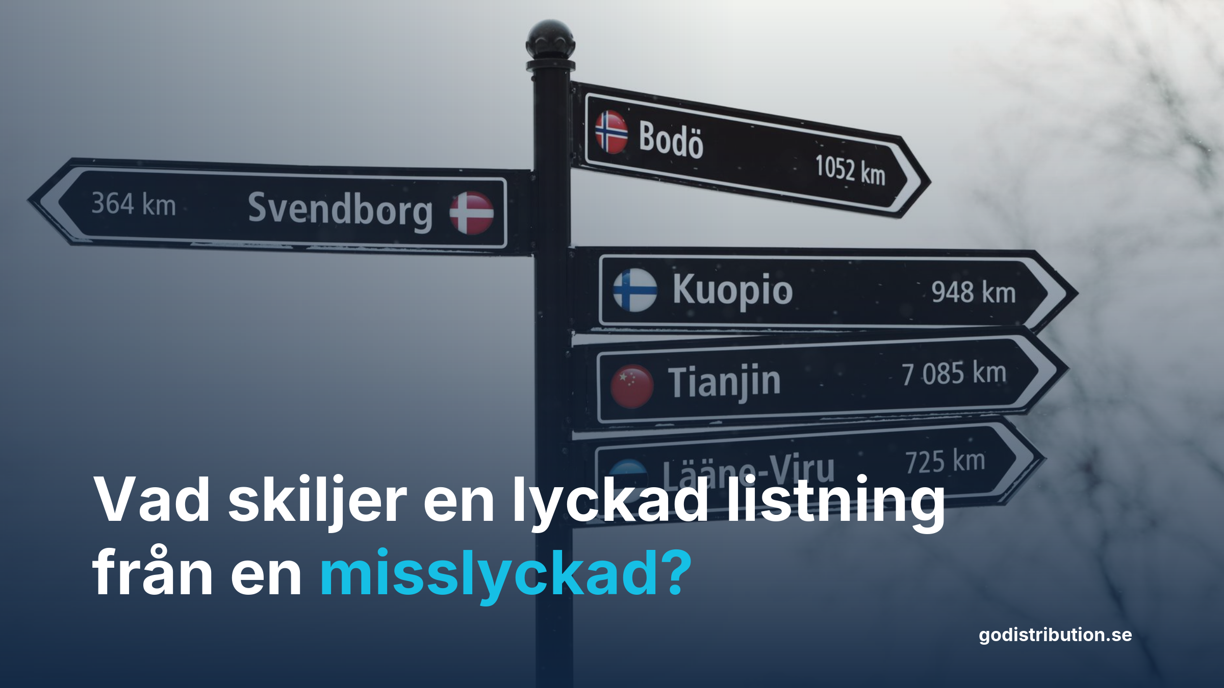 Framgångsfaktorer för produktdistribution i franska byggvaruhus – fält och listning
