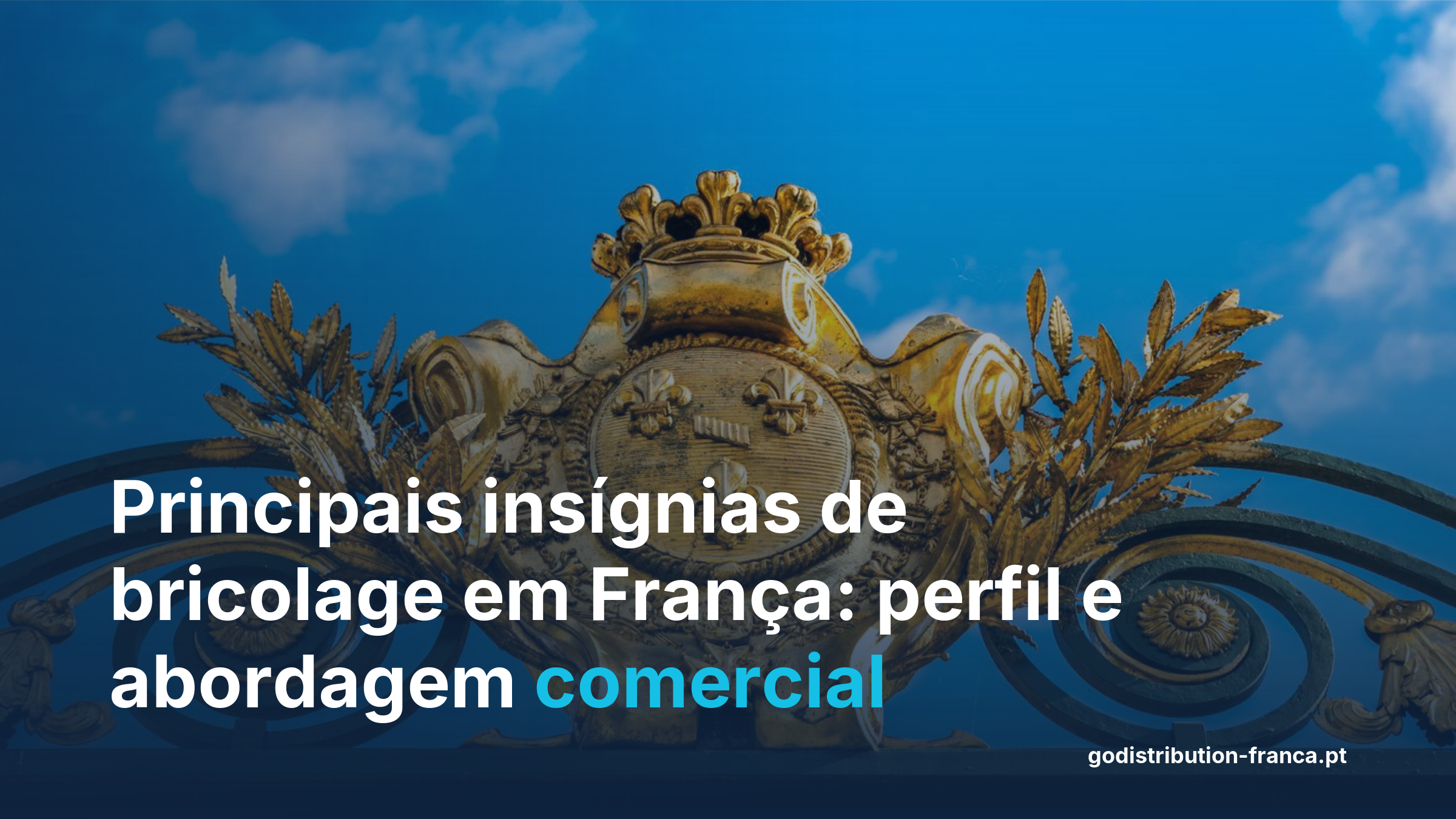 Comparativo das principais insígnias de grandes superfícies de bricolage em França para distribuidores