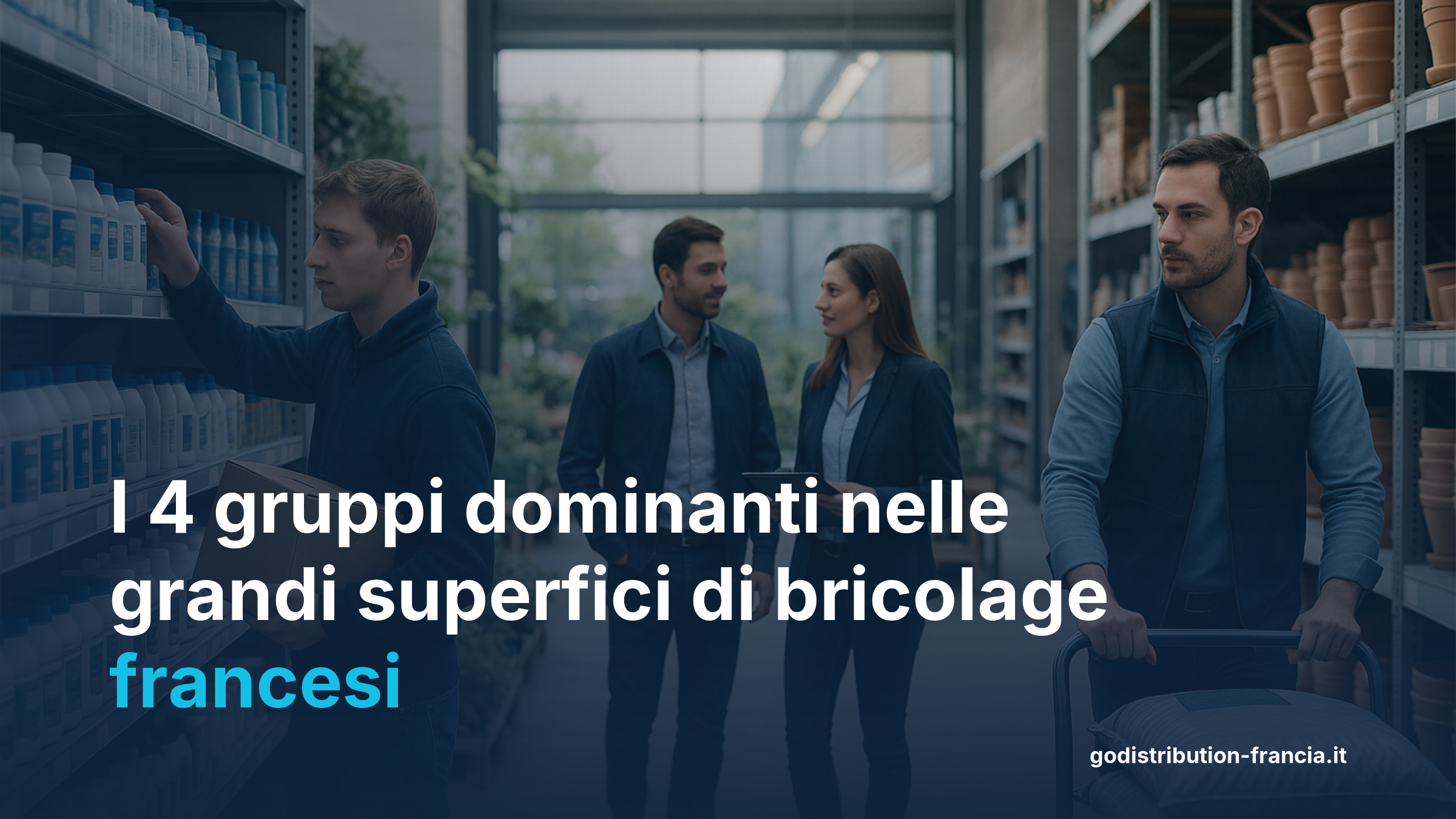 quota di mercato grandi superfici bricolage Francia Leroy Merlin Castorama Brico Dépôt 2025
